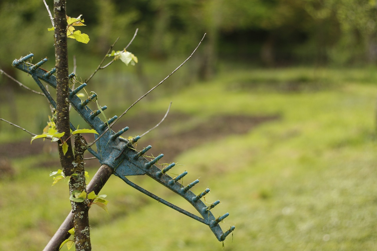 How Gardening Can Help Combat Climate Change?